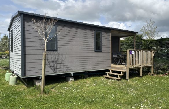 Mobil - Home JUNGLE